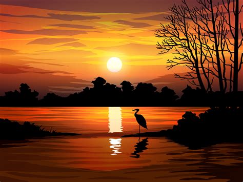 Beautiful Forest Sunset Scene With Lake 2042905 Vector Art At Vecteezy
