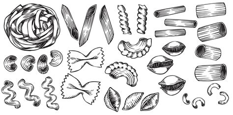 Vector Drawing In Sketch Style Vintage Set Of Types Of Pasta Italian