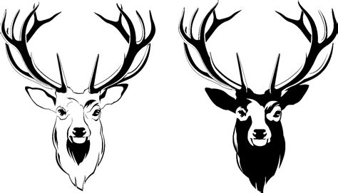 Reindeer Head Drawing Free Download On Clipartmag