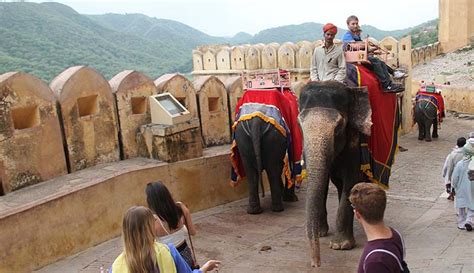 Are Elephant Rides At Amber Fort Safe For Tourists