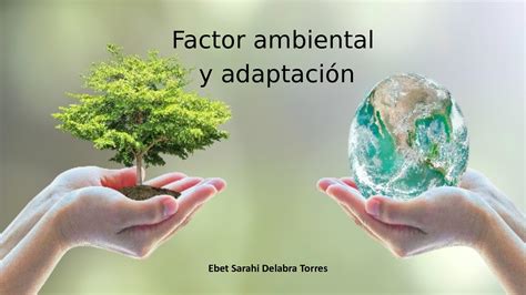 Factores Que Afectan Al Medio Ambiente