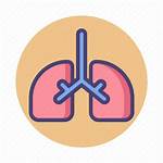 Lungs Respiratory Icon System Organ Icons Editor