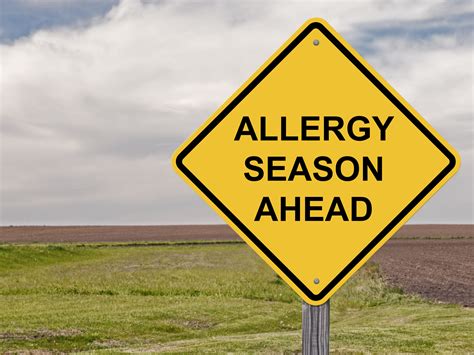 Tips For Coping With Spring Allergy Season Premier Medical Group