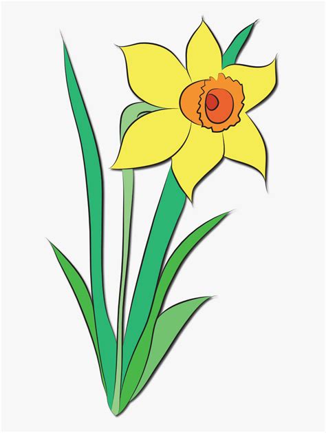 Daffodil Flower Clip Art Free Transparent Clipart Clipartkey