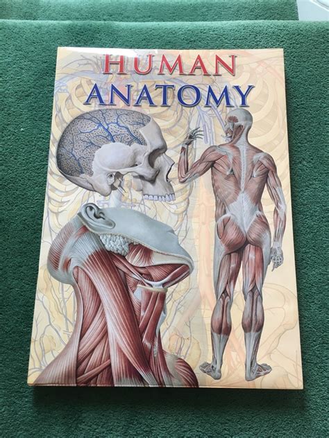 Giant Human Anatomy Book Village