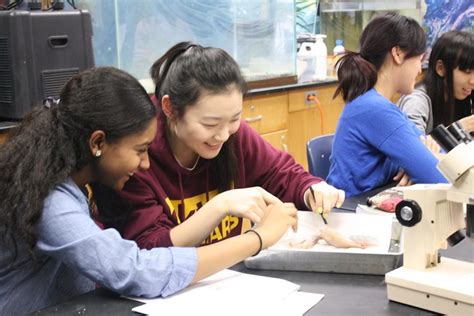 Marine Biology Students Dissect Squids Tjtoday