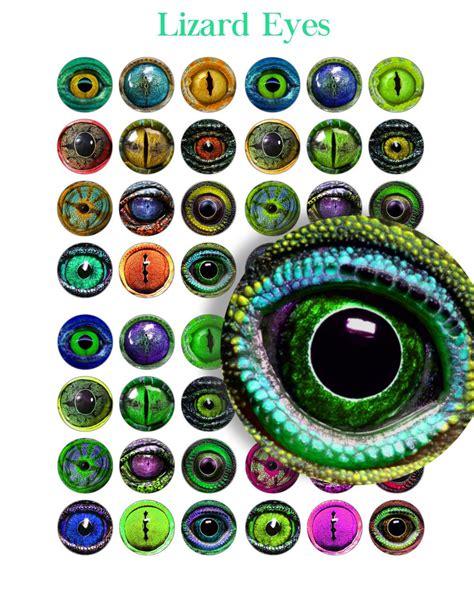 Create printable eyes nose mouth templates style with photoshop, illustrator, indesign, 3ds max, maya or cinema 4d. LIZARD EYES Printable Craft Circles Amphibian Animal Eye