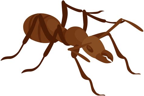 Ant Clipart Png