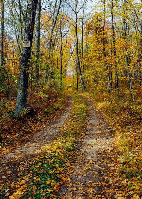 Country Road In The Fall No Location Given By Christopher Mongeau Cr