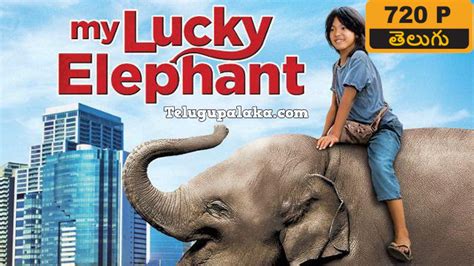 My Lucky Elephant 2013 720p Bdrip Multi Audio Telugu Dubbed Movie