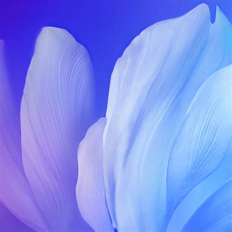 Blue Flower Wallpaper 4k Gradient Aesthetic Vivo Stock