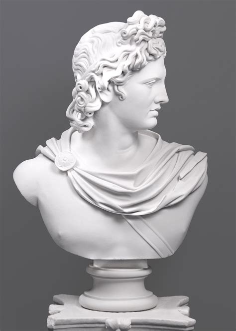 Large Apollo Bust Sculpture Greek Statue Of Apollo Belvedere Etsy