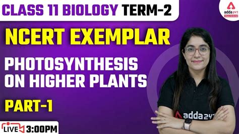 Class 11 Biology Photosynthesis In Higher Plants Ncert Exemplar