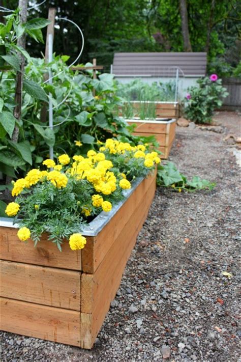 Growing Vegetables In The Pacific Nw Gardening