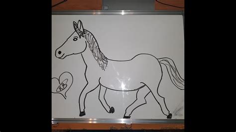 Kako Nacrtati Konja Youtube