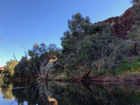 Carawine Gorge, Western Australia | Western australia, Outback australia, Australia