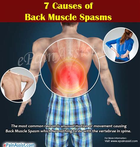 7 Causes Of Back Muscle Spasm And Its Risk Factors