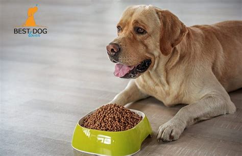 Our perfectly balanced dog food means less allergies, a shinier coat, a healthier weight, and more energy. #affordable #dog #food #online #diet #protein #minerals # ...