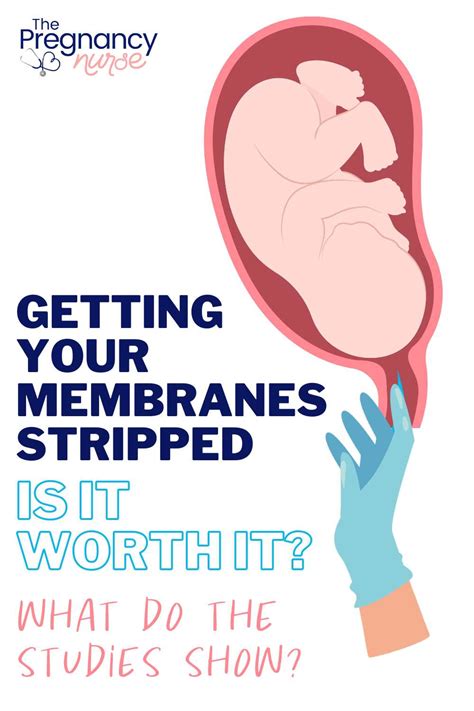 What Is Stripping Membranes Membrane Sweep The Pregnancy Nurse