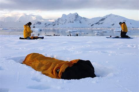Antarctica Adventure Travel And Cruise Excursions Geoex