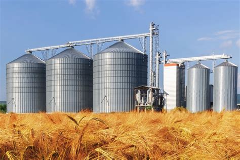 Global Grain Buyers To Attend To Export Exchange 2018 2018 10 12