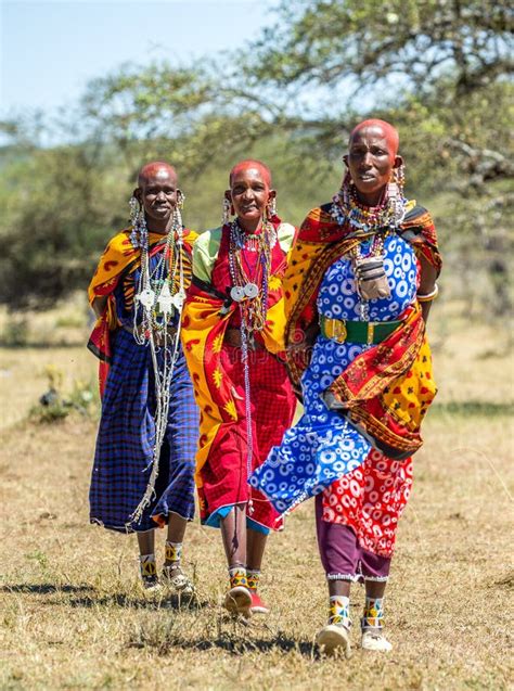 Masai Women In Traditional Clothing Is Walking In The Savannah Editorial Image Image Of