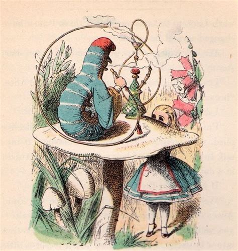 Caterpillar Alices Adventures In Wonderland ~ Detailed Information