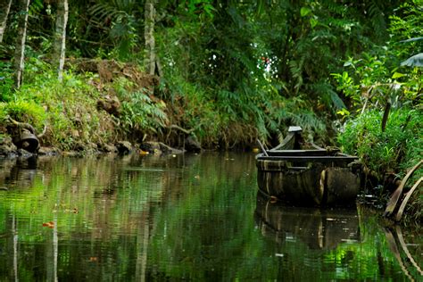 You can download free photos and use where you want. #boat #green #kerala boat #natural #nature #old boat # ...