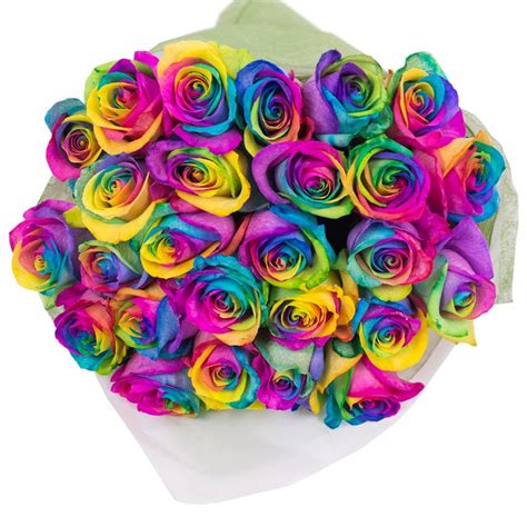 Bouquet Of 24 Roses Rainbow