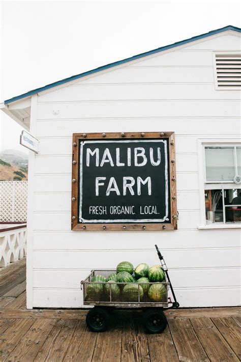 Malibu Farm Breakfast At The Malibu Pier Bikinis And Passports Malibu