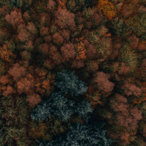 Autumn Aerial Wallpapers Wallpaper Cave