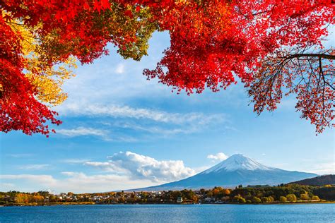 Free Download Hd Wallpaper Body Of Water Autumn The Sky Leaves