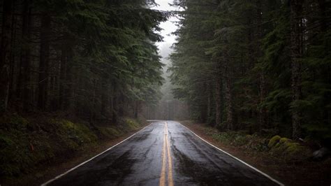 Rainy Forest Road Hd Wallpaper Hd Latest Wallpapers
