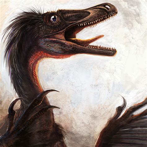 Pictures Dinosaurs Velociraptor Mongoliensis Animals Ancient Animals