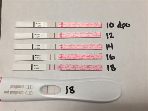 Easyhome Progression 10 18 Dpo And An 18 Dpo Frer Dye Stealer