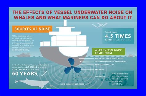 Imo Ship Noise Negative Impacts On Humans And Marine Life Maritimecyprus
