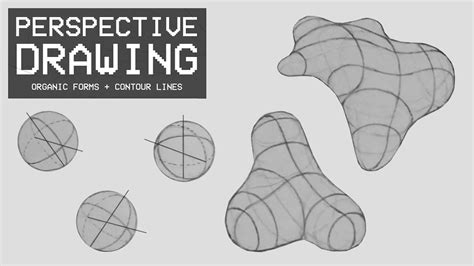 Perspective Drawing 21 Organic Forms And Contour Lines Youtube