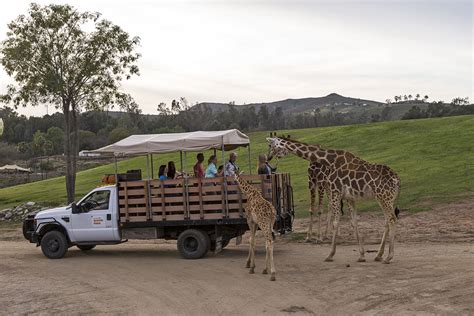 San Diego Safari Park Jktyred