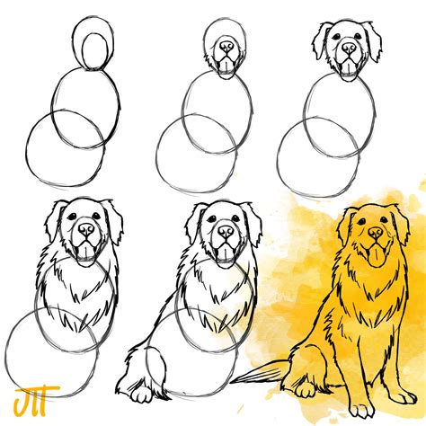Collection 94 Pictures How To Draw A Golden Retriever Step By Step Latest