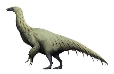 10 Facts About Therizinosaurus The Reaping Lizard