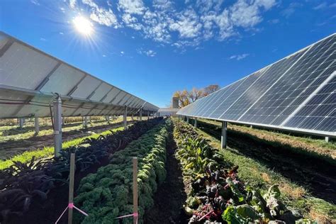 This Colorado Solar Garden Is Literally A Farm Under Solar Panels Solar Farm Solar Panels