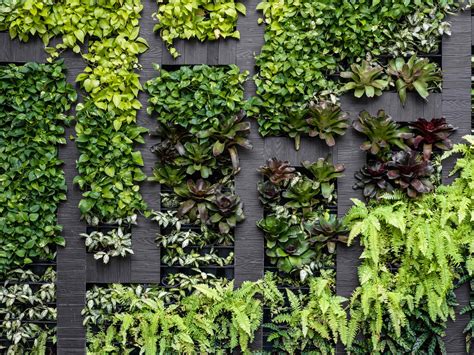 How To Build A Vertical Garden At Home Au