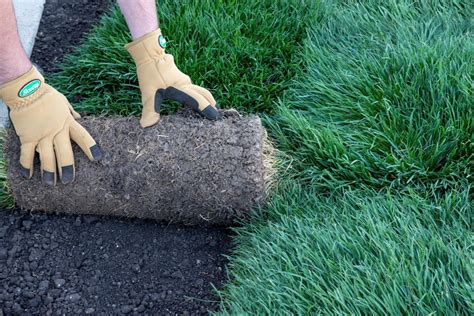 You should go on to pull as many continue with sodding unless the center of the lawn is met. How to Lay Sod | Scotts®