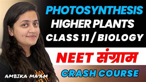 Photosynthesis In Higher Plants Class 11 Part 1 Neet 2023
