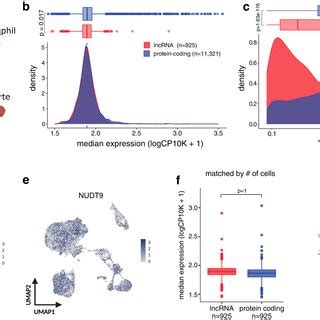 Expression Patterns Of LncRNAs And Protein Coding Genes At Single Cell