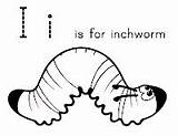 Inchworm Letter Template Worksheet Printables Preschool Letters Coloring Lots Kindergarten Visit Igloo sketch template