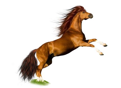 Brown Horse Png Png Mart