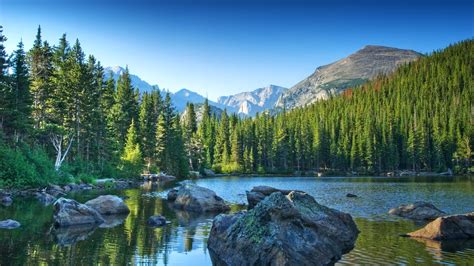 Wallpaper Landscape Forest Lake Water Nature Reflection River