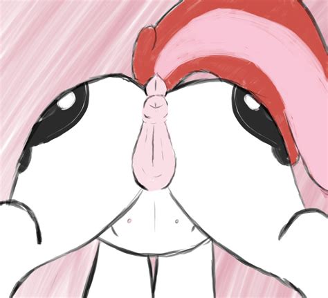 Rule 34 Animal Genitalia Animal Pussy Anus Ass Crotchboobs Cutie Mark