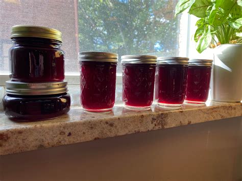 Concord Grape Jelly Making Day From Grapes That We Grew Rcanning
